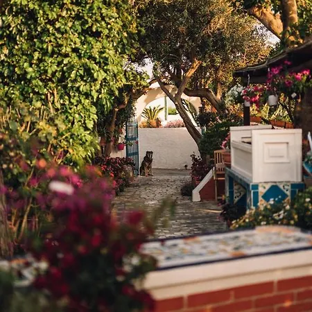 Maria Hotel Sant'Angelo (Isola d'Ischia)